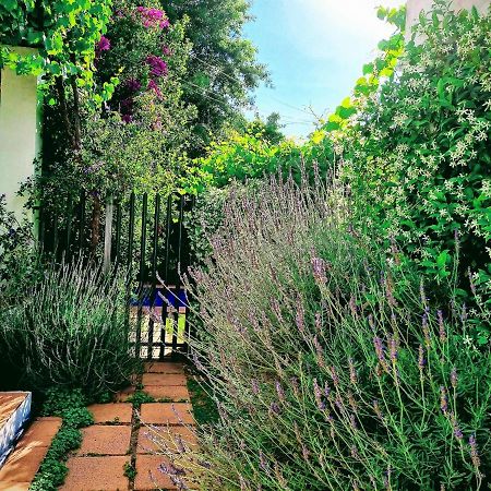 Sunny Lane Lejlighed Franschhoek Eksteriør billede