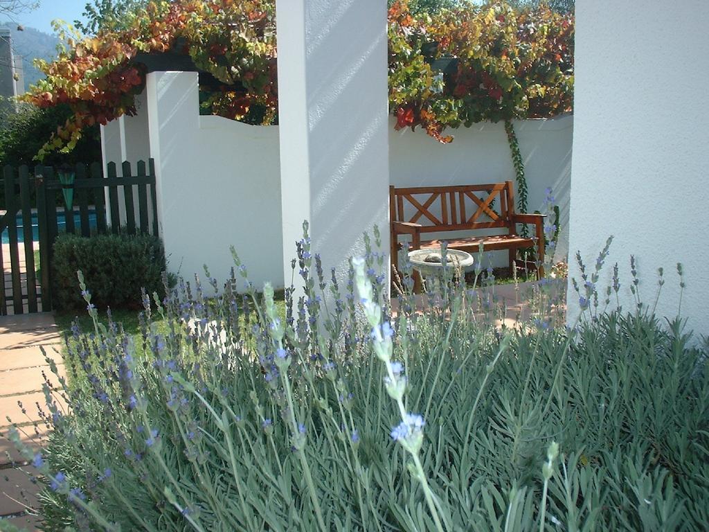 Sunny Lane Lejlighed Franschhoek Eksteriør billede